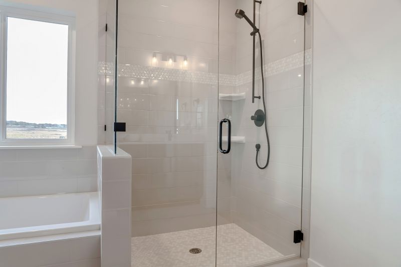 Glass Shower Door
